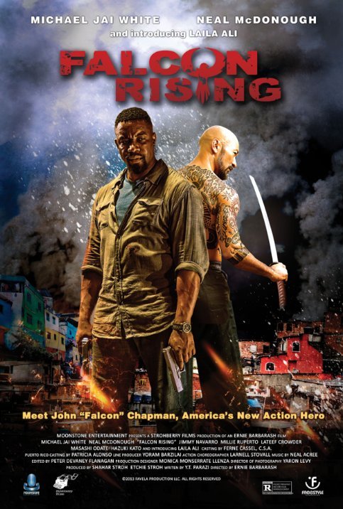 Poster of the movie Falcon Rising