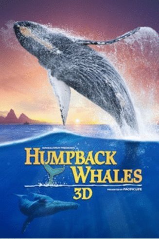 Poster of the movie Humpback Whales
