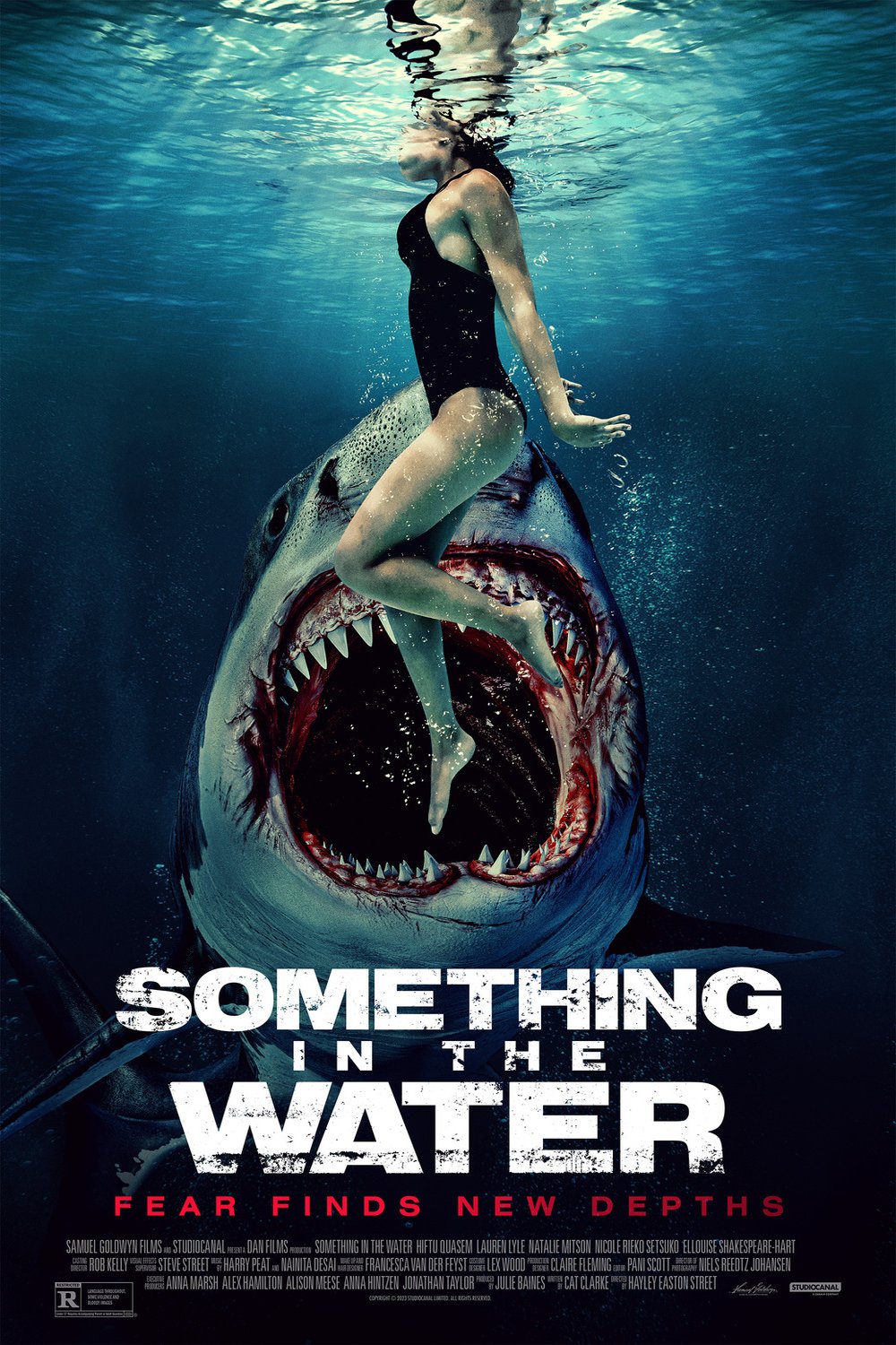 Poster of the movie Something in the Water